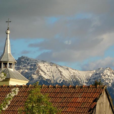 Mountain Vista Suites Zărneşti Екстериор снимка