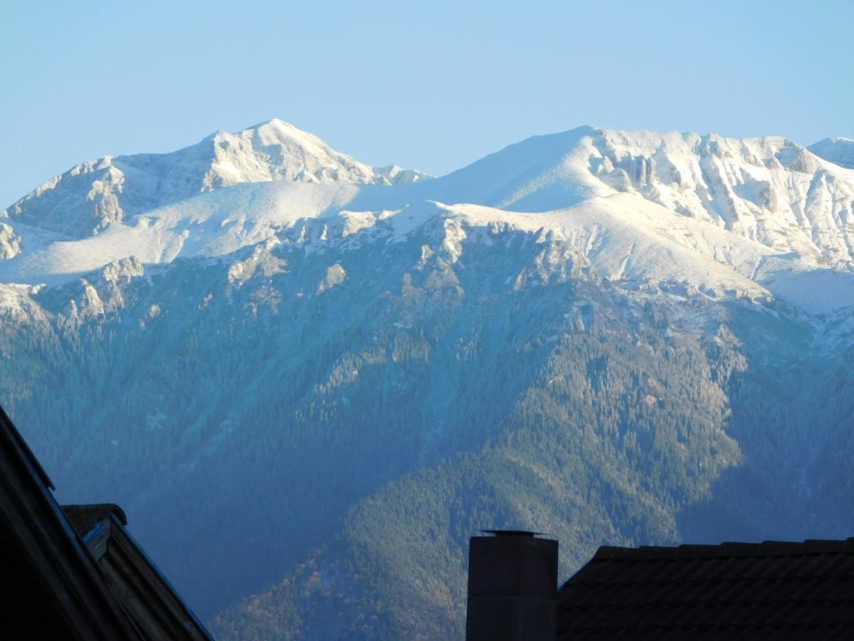 Mountain Vista Suites Zărneşti Екстериор снимка