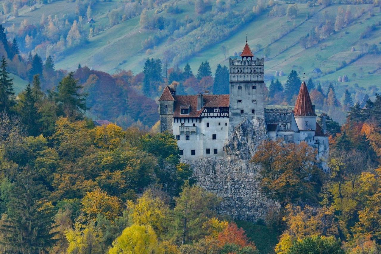 Mountain Vista Suites Zărneşti Екстериор снимка