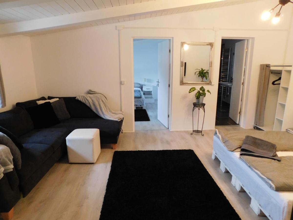 Mountain Vista Suites Zărneşti Екстериор снимка