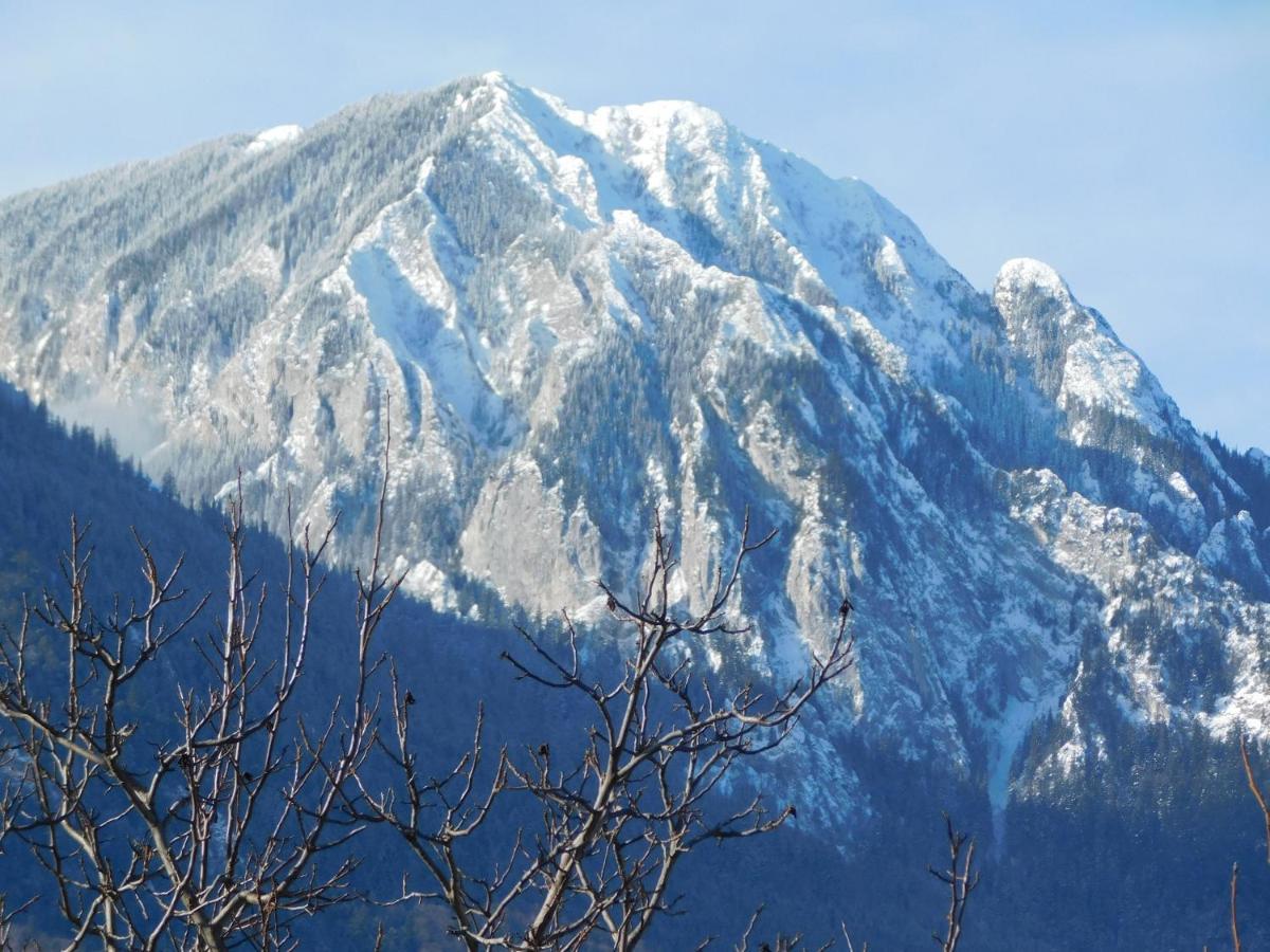 Mountain Vista Suites Zărneşti Екстериор снимка