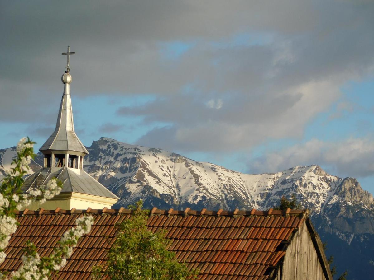 Mountain Vista Suites Zărneşti Екстериор снимка