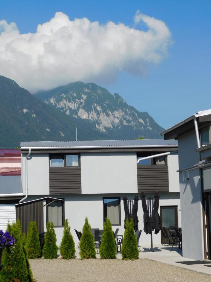 Mountain Vista Suites Zărneşti Екстериор снимка