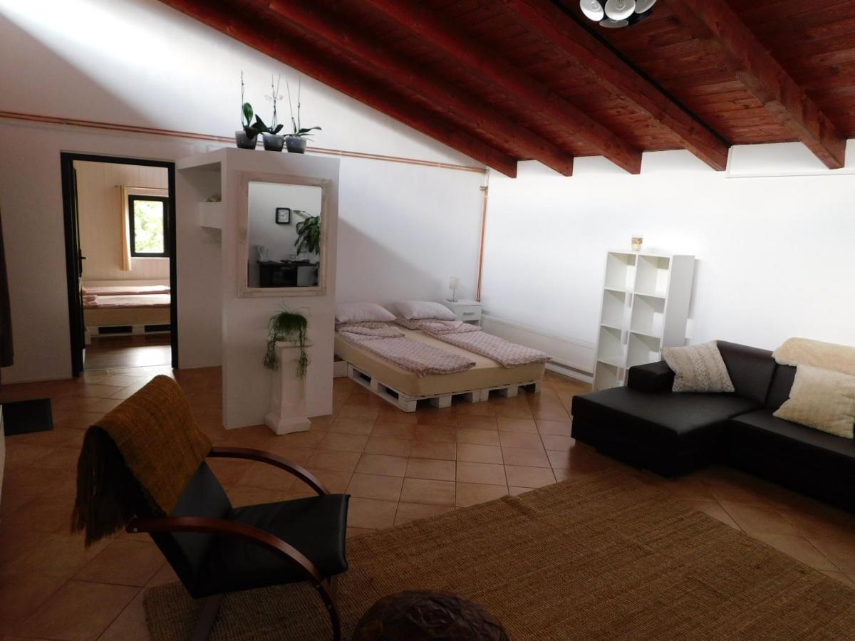 Mountain Vista Suites Zărneşti Екстериор снимка